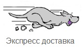 Доставка - теперь на следующий день!